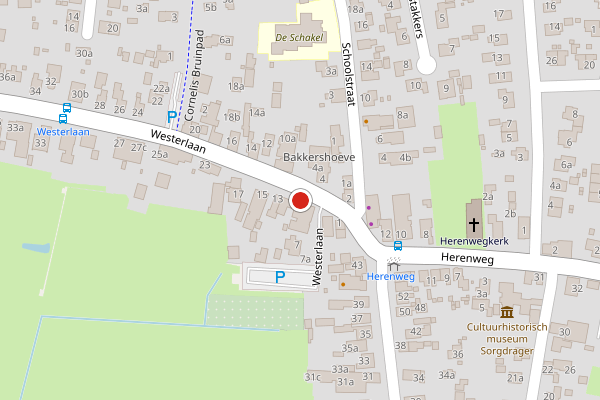 Brandweer-melding op Westerlaan, Hollum op 22 maart, kaart-overzicht